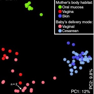  Bacterias el primer regalo de mamá 