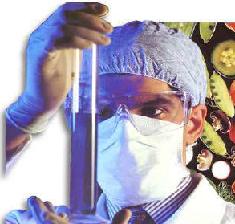  graves impactos de los TRANSGENICOS 