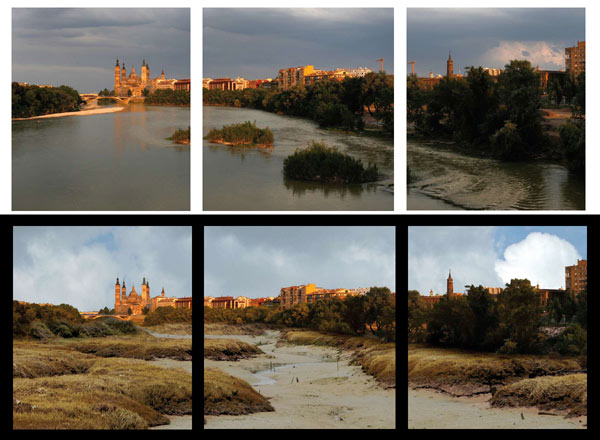  seguridad alimentaria seguridad alimentaria 