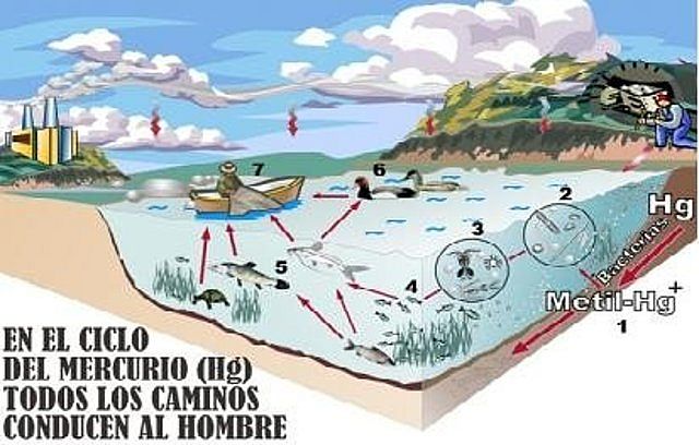 Mercurio contamina el agua del mar