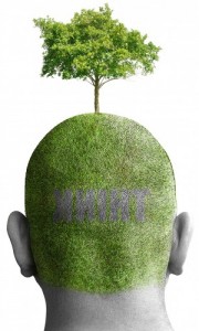 Las siete erres del consumidor ECOLOGICO 