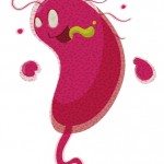  Bacteria que descompone un antibiótico común