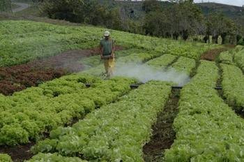 Riego y trato de cultivos con Agua de Ozono riego