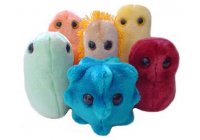 BACTERIAS eliminadas con OZONO. La invasión de los microbios