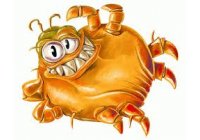 ACAROS son una AMENAZA para la SALUD