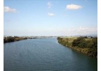 Agua superficial contaminada con salmonella