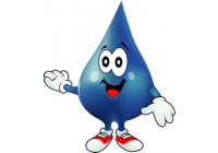 ALGAS en el Agua eliminadas con OZONO (1)