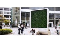 ARBOL contra la POLUCION