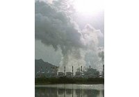 El 25% de las muertes se pueden atribuir a factores ambientales