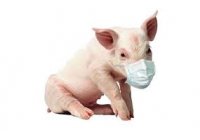 El virus de la Gripe A H1N1 puede ser matado con Agua Acida de Ozono