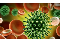 GRIPES, CATARROS y CORONAVIRUS ADIOS