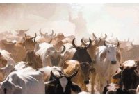 La atm�sfera en el hemisferio norte tiene una elevada concentraci�n de amoniaco