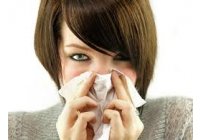 La gripe A podr�a combinarse en el futuro con la aviar, seg�n la ONU