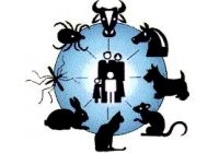 Las enfermedades que m�s transmiten los animales a los europeos