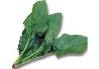 Las ventas de paquetes de espinacas han ca�do en Estados Unidos un 40 por ciento, tras la contaminaci�n que caus� tres muertes y m�s de doscientas intoxicaciones