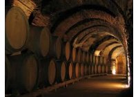 OZONO Nueva t�cnica para la CONSERVACION de UVA y VINO