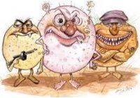 Organismos que son oxidados �Matados� y �Eliminados� por Ozono