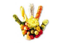 Presentan alternativas para tratar problemas fitosanitarios en frutas con OZONO