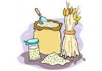 Reportaje Aplicaci�n del OZONO en la Agricultura