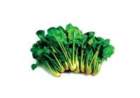 Retirada masiva de espinacas en Estados Unidos debido a un brote de E. Coli